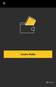 coolwallet-s